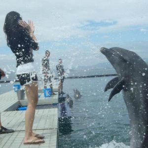 Meet your Posher, Raidis anne